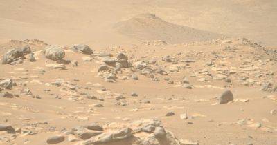 На Марсе разбросаны тысячи необычно белых камней: они не вписываются в ландшафт (фото) - focus.ua - шт. Индиана
