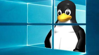 Немецкий штат переходит с Windows на Linux: 30 тысяч сотрудников готовятся к миграции