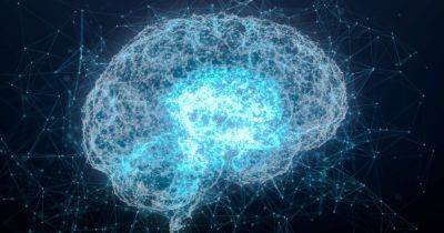 Память не улучшится: ученые обнаружили бесполезность стимуляции мозга электричеством
