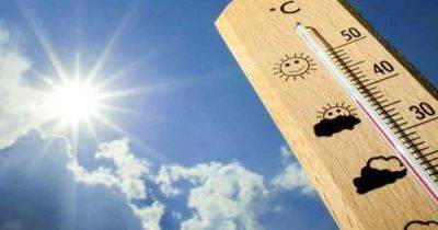 Март 2024 стал самым жарким за историю наблюдений: где было теплее всего