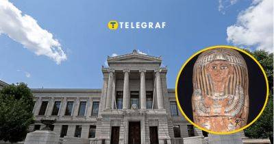 Музею в США пришлось просто так отдать 3000-летний гроб египетского ребенка Швеции: как так получилось (фото)