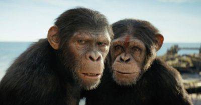 Фильм Королевство планеты обезьян собрал за первые выходные в США 56 миллионов долларов - это второй лучший результат в истории франшизы - gagadget.com - США