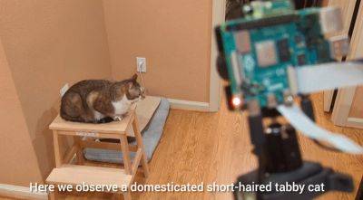 Проект AI Raspberry Pi Cat Detection обнаруживает кошек в доме и озвучивает их действия в стиле документального фильма