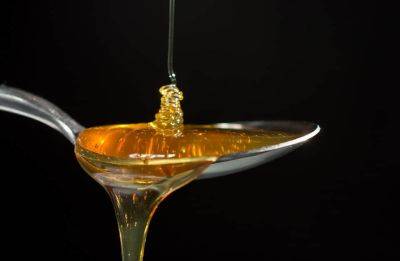 Вода с медом натощак - ученые рассказали, в чем польза такого напитка