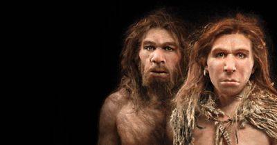 Разные виды любви не помеха: ученые узнали, когда люди впервые скрестились с неандертальцами