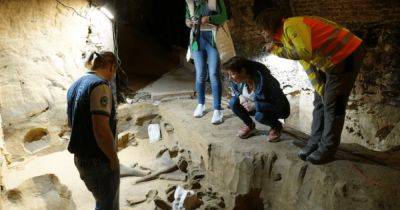 Кости пролежали 30-40 млн лет: винодел из Австрии случайно случайно нашел невероятный "клад" (фото)