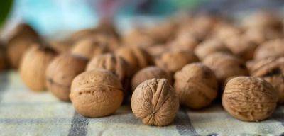 Орехи при преддиабете — 4 лучших варианта назвала доктор