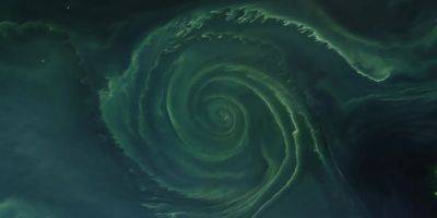 На фото показали спираль цветения в Балтийском море, которая виднеется из космоса
