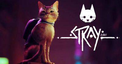 Киберпанк с котом: инди-хит Stray получил скидку 35% в Steam до 3 июня