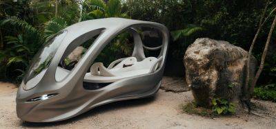 В Мексике создан бездверный электромобиль из стекловолокна и дерева