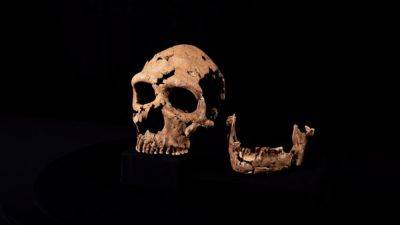 Археологи реконструировали лицо неандертальской женщины на основе ее черепа - 24tv.ua - Голландия