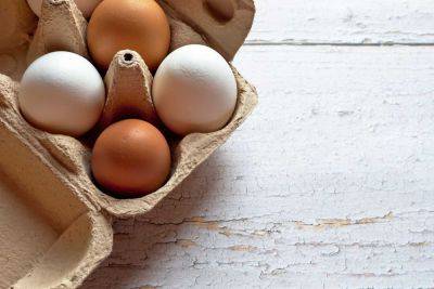 Ежедневное употребление яиц - врачи рассказали, как отреагирует ваш организм - cursorinfo.co.il