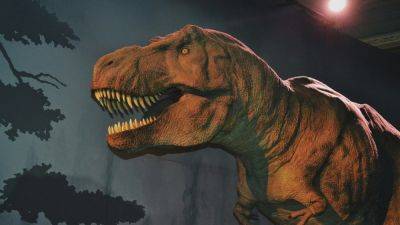 Трое детей нашли окаменелости молодого тираннозавра